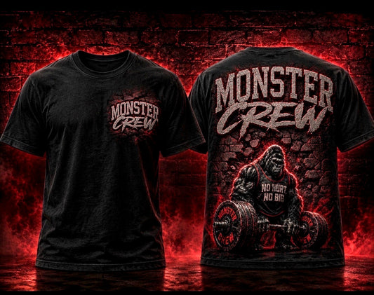 No Hurt No Big T-Shirt